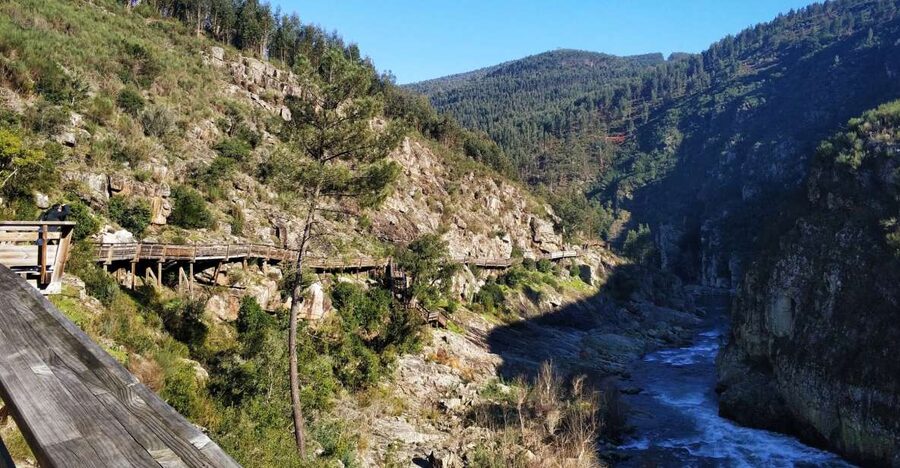 From Porto: Arouca 516 and Paiva Walkways Guided Day Trip - Key reasons this day trip works