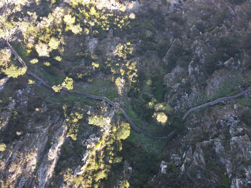 From Porto: Arouca 516 and Paiva Walkways Guided Day Trip - Price and value: why $135 makes sense for this package