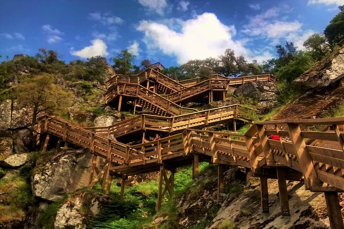 From Porto: Aveiro, Paiva Walkways, Suspension Bridge and Lunch - Key things that make this tour worth your time