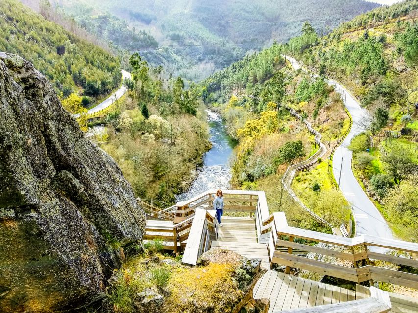From Porto: Aveiro, Paiva Walkways, & Suspension Bridge Tour - Price, logistics, and what you are paying for at $127