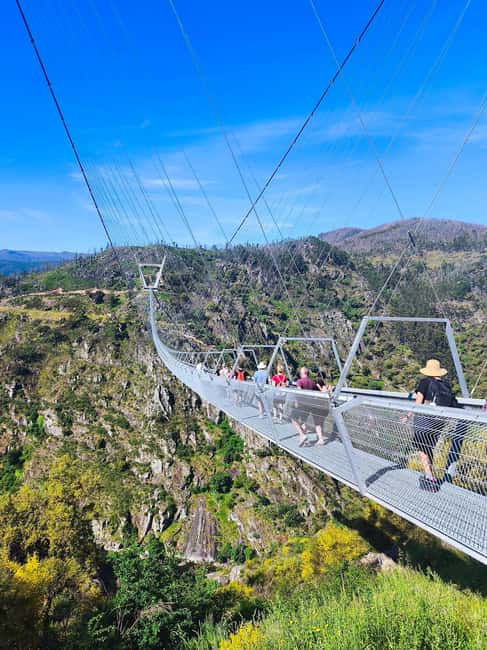 From Porto: Aveiro, Paiva Walkways, & Suspension Bridge Tour - Porto to Arouca and Aveiro in one day: the value play