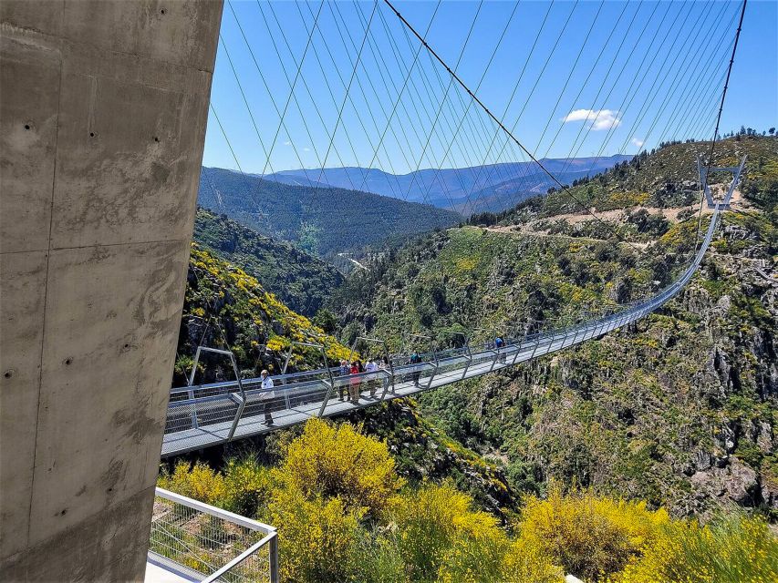 From Porto: Aveiro, Paiva Walkways, & Suspension Bridge Tour - Paiva Walkways: your 5km downhill boardwalk moment