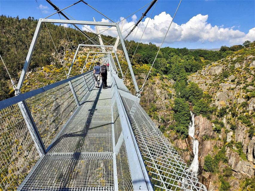 From Porto: Aveiro, Paiva Walkways, & Suspension Bridge Tour - Guides, group size, and why the small format matters