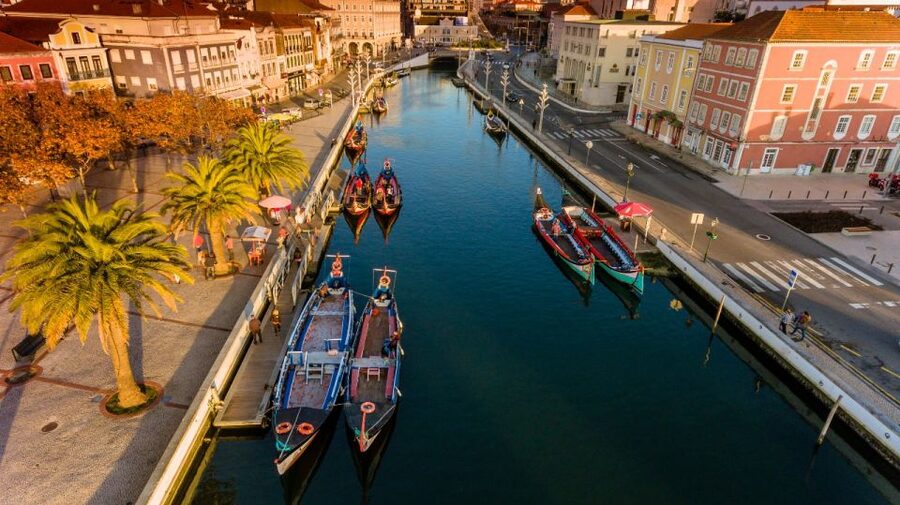 From Porto: Aveiro Private Guided Day Trip - Vista Alegre Museum and the tiled station moment