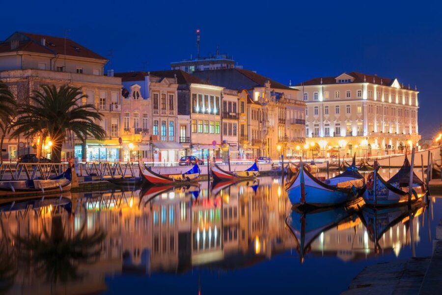 From Porto: Aveiro Private Guided Day Trip - Private guiding: why the day feels more personal and more useful
