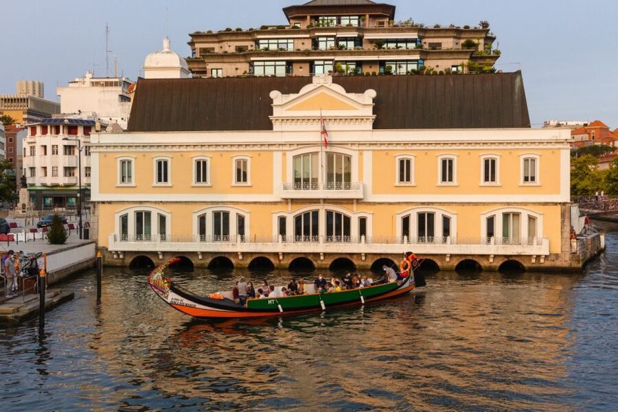 From Porto: Aveiro Private Guided Day Trip - From Porto to Aveiro: the smooth private ride and timing
