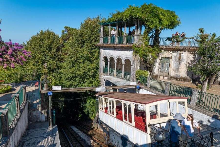 From Porto: Braga and Guimarães Full-Day Trip - Group Size, Comfort, and the Reality of a Long Day