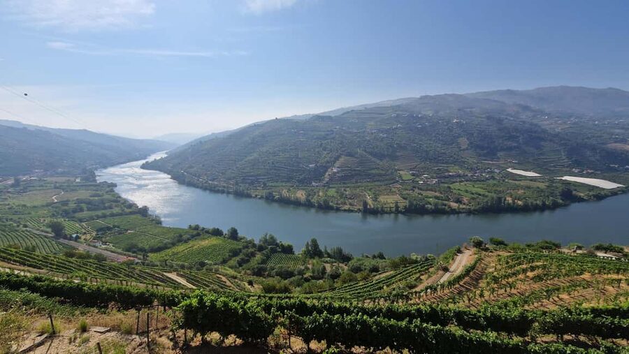 From Porto Day Douro Valley Wine Tour 2 Wine Tasting & Lunch - Small-Group Highlights You Will Actually Feel