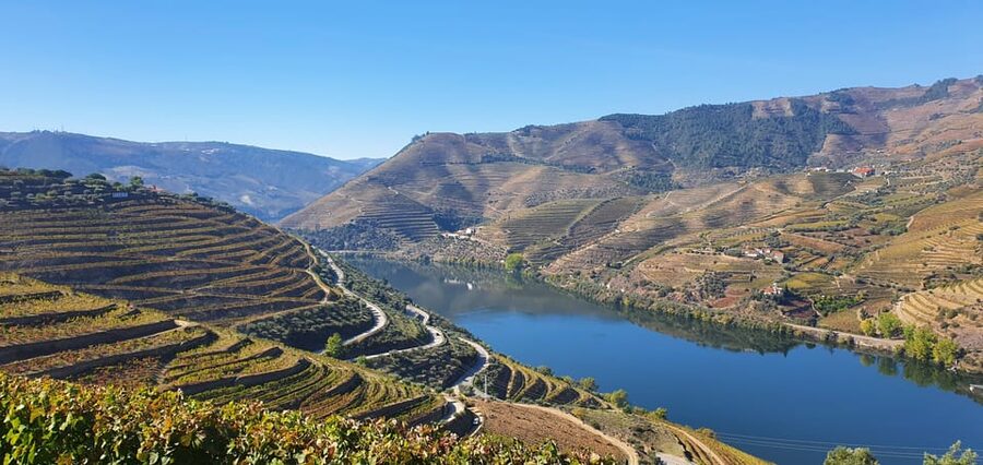 From Porto Day Douro Valley Wine Tour 2 Wine Tasting & Lunch - The Guide Matters: How Past Praise Shows Up in Your Day
