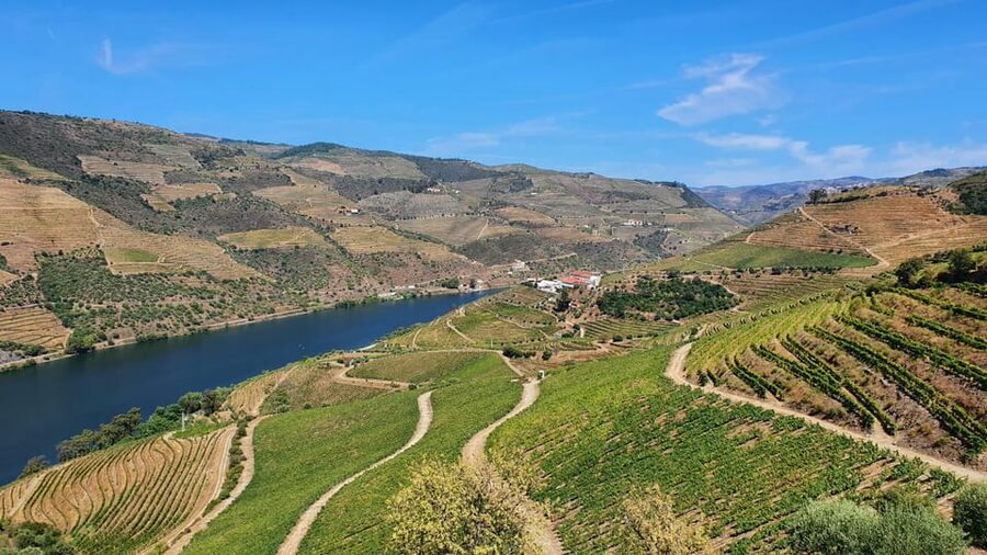 From Porto Day Douro Valley Wine Tour 2 Wine Tasting & Lunch - Pinhão Photo Stops and the N222 Road: Where the Views Earn Their Keep