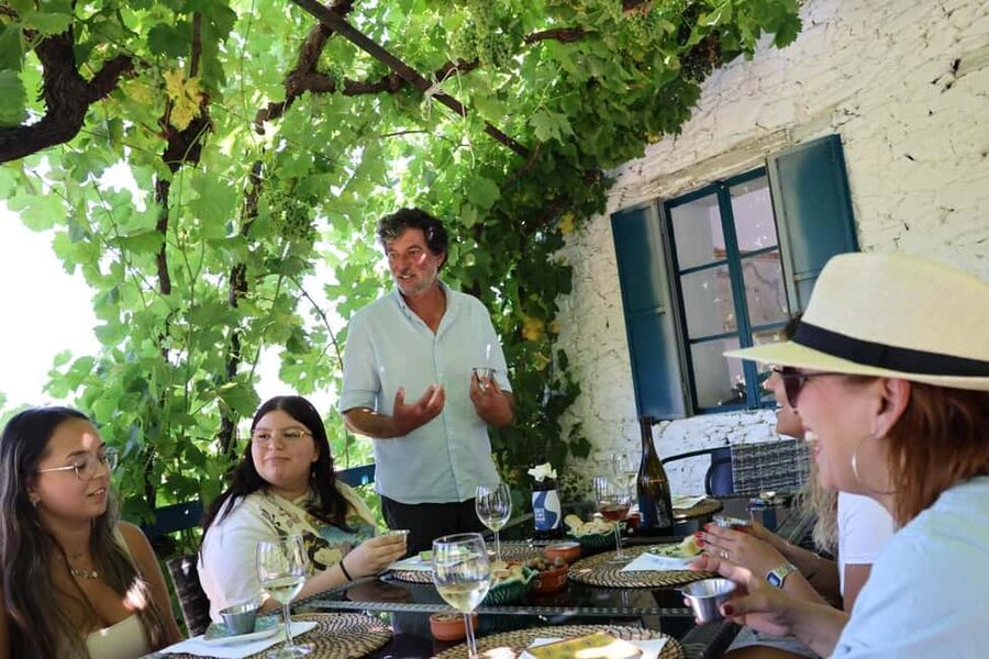 From Porto : Douro Valley sightseeing with 1 Winery Visit - Pinhão Village stop: 1h30 to explore, plus the optional boat cruise choice