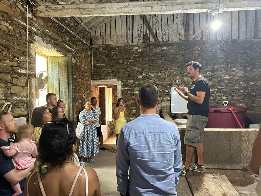 From Porto : Douro Valley sightseeing with 1 Winery Visit - Price and value: is $61 fair for a 7 to 9 hour Douro loop?