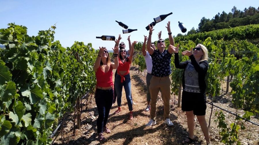 From Porto: Douro Valley Tour with Tastings, Boat & Lunch - Key highlights you should care about