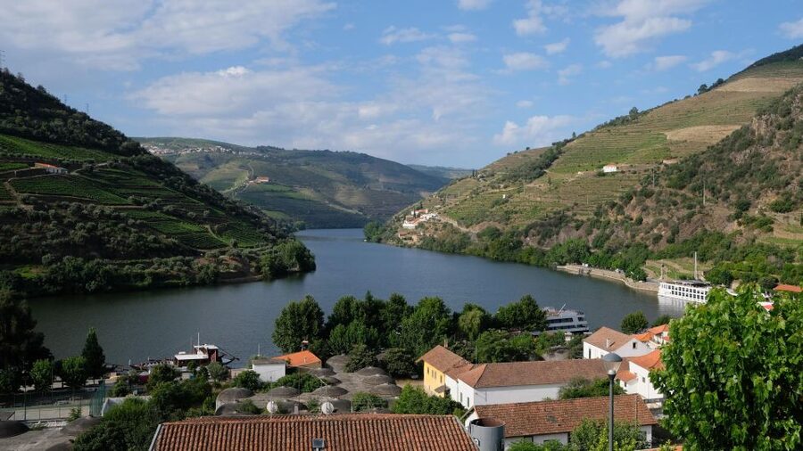 From Porto: Douro Valley Tour with Tastings, Boat & Lunch - First winery stop: Douro DOC basics with a real guide