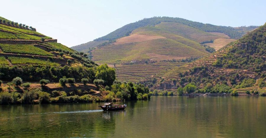 From Porto: Douro Valley Tour with Tastings, Boat & Lunch - Lunch in the Douro Valley: 3 courses and Douro DOC wines, with diet options
