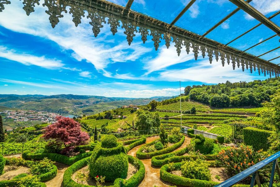 From Porto: Douro Valley w/ Boat Tour, Wine Tasting & Lunch - Peso da Régua: photo stop first, then a cooperative founded in 1959