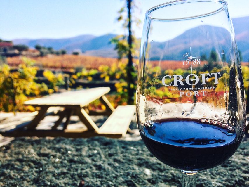 From Porto: Douro Valley w/ Boat Tour, Wine Tasting & Lunch - Lunch in a wine cellar: Douro flavors that actually feel local