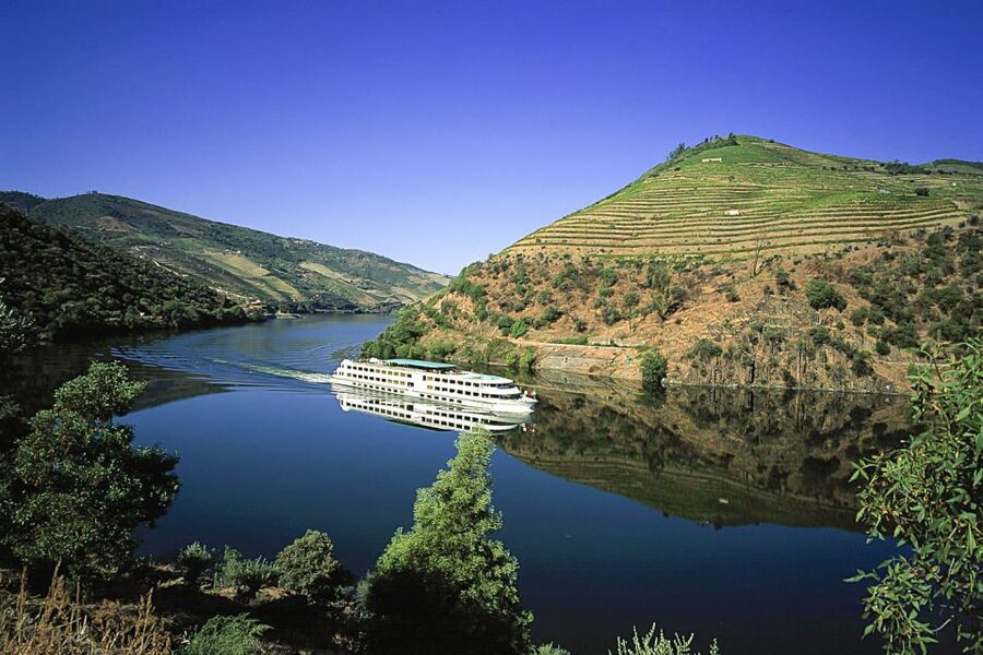 From Porto: Full-Day Douro Historical Tour - Key highlights worth your attention