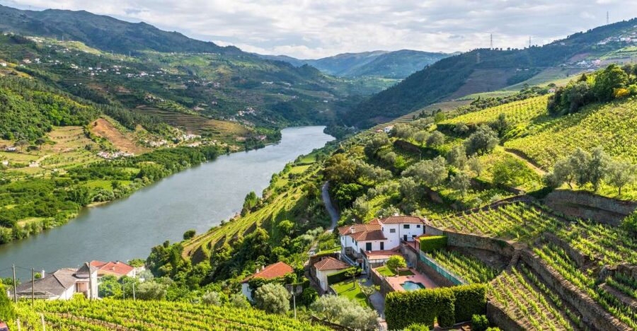 From Porto: Full-Day Douro Historical Tour - From Porto to the Douro, the day starts easy (and stays organized)