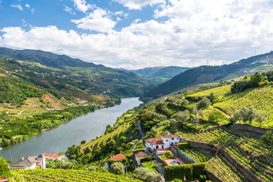 From Porto: Full-Day Douro Historical Tour - A quick viewpoint, then lunch that keeps the day moving