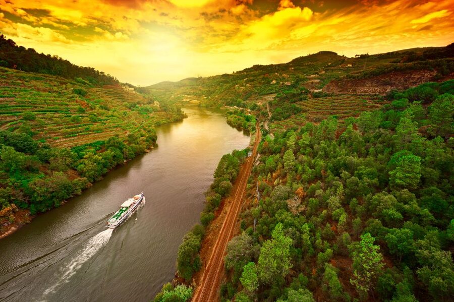 From Porto: Full-Day Douro Historical Tour - Guides, language, and the small moments that change your day
