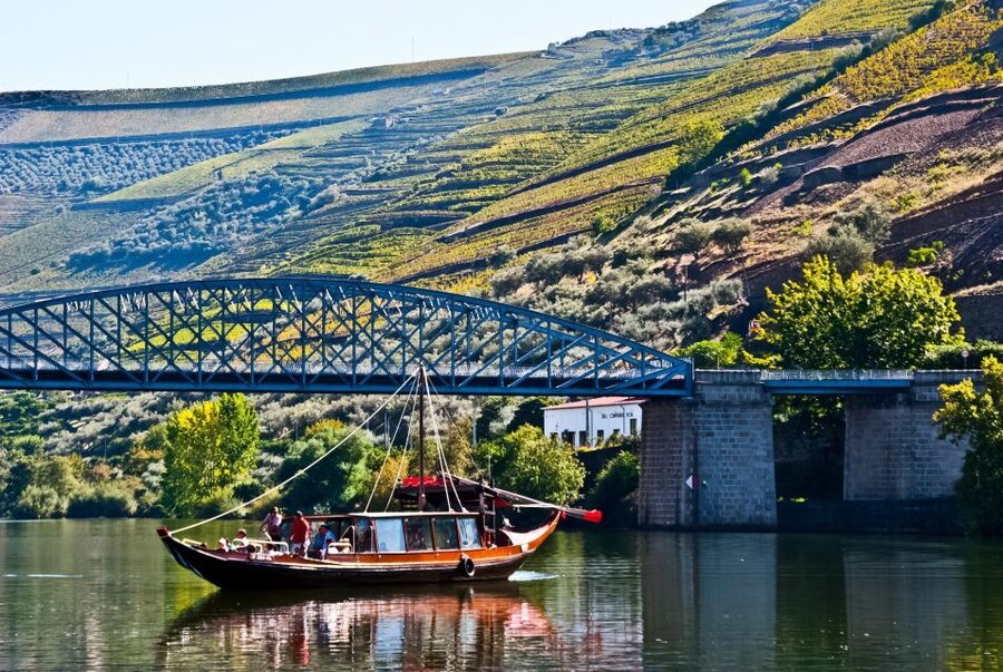 From Porto: Full-Day Douro Valley Trip - The guides and drivers, why they can make or break the day