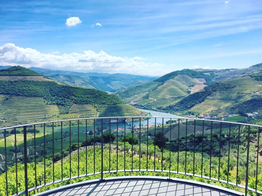 From Porto: Full-Day Douro Valley Trip - Peso da Régua winery visit: wine tasting plus production stories