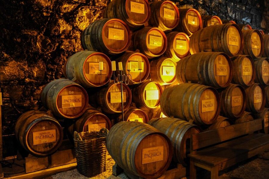 From Porto: Full-Day Douro Valley Trip - Lunch in a wine cellar, with real pairing and dietary options