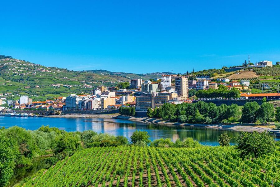 From Porto: Full-Day Douro Valley Trip - How this fits the cost: value at around $88 per person