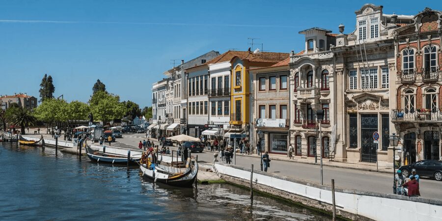 From Porto: Full-Day Trip to Coimbra & Aveiro with Boat Ride - Coimbra’s cathedrals and medieval feel, with a student-city focus