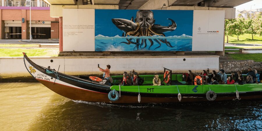 From Porto: Full-Day Trip to Coimbra & Aveiro with Boat Ride - Value check: why $116 can feel fair for this packed day