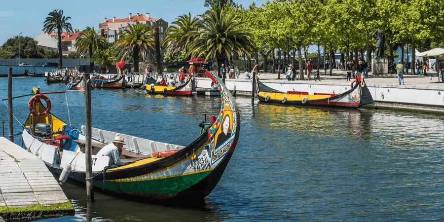 From Porto: Full-Day Trip to Coimbra & Aveiro with Boat Ride - Meeting at Touch Tours Porto and what the drive feels like