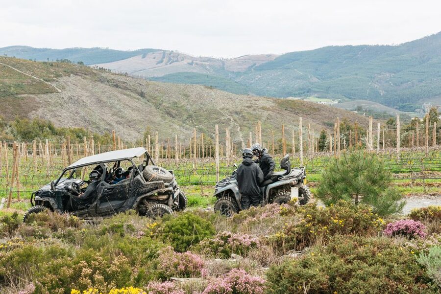 From Porto: Off-Road Buggy Adventure - The Buggy Adventure in a Nutshell (What Makes It Worth Your Time)