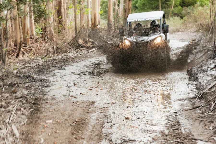 From Porto: Off-Road Buggy Adventure - Off-Road Without the Chaos: What the 3-Hour Buggy Ride Feels Like