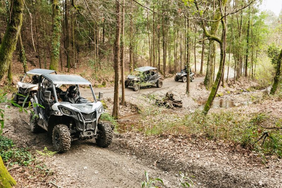 From Porto: Off-Road Buggy Adventure - Castro Mozinho Roman Ruins: The Ancient Portugal Stop