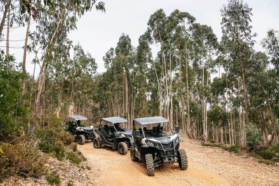 From Porto: Off-Road Buggy Adventure - Time, Pickups, and Where to Start in Porto