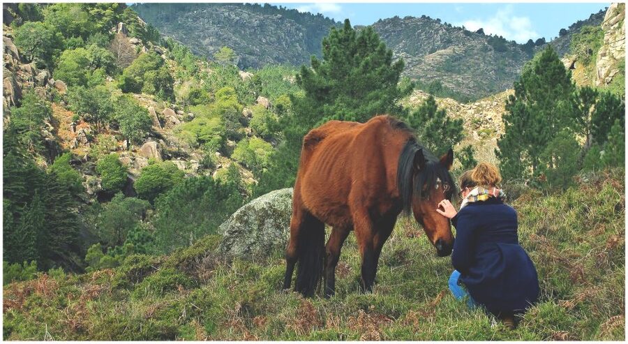 From Porto: Peneda-Gerês National Park Tour with Lunch - Price and value: why $123 can feel fair for a 10-hour guided day