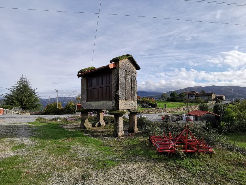 From Porto: Peneda-Gerês National Park Tour with Lunch - Lunch in a local restaurant, what makes it feel like part of the culture