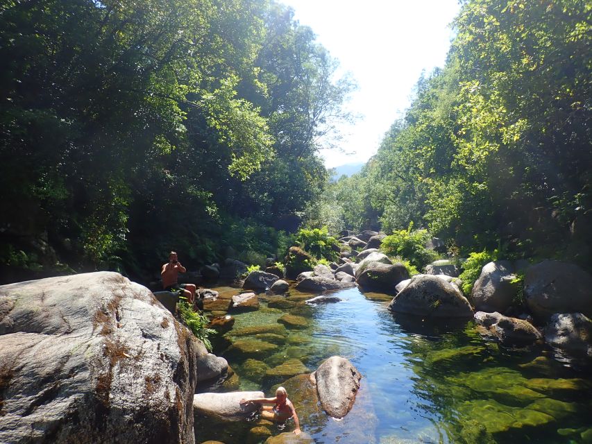 From Porto: Peneda-Gerês National Park Tour with Lunch - Environmental care and reforestation, what your ticket is doing