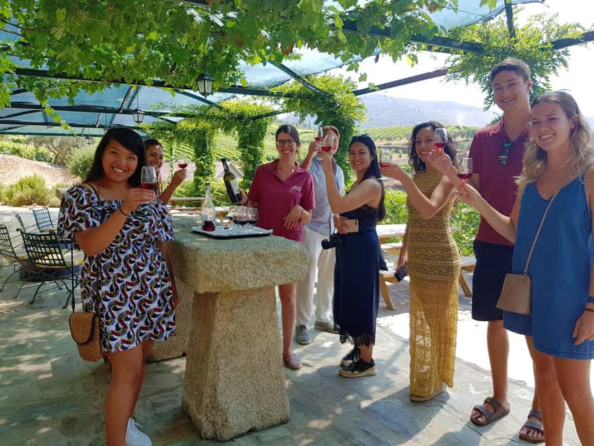 From Porto: Premium Douro Valley 4 Vineyards Tour with Lunch - Key Highlights You’ll Actually Feel During the Day