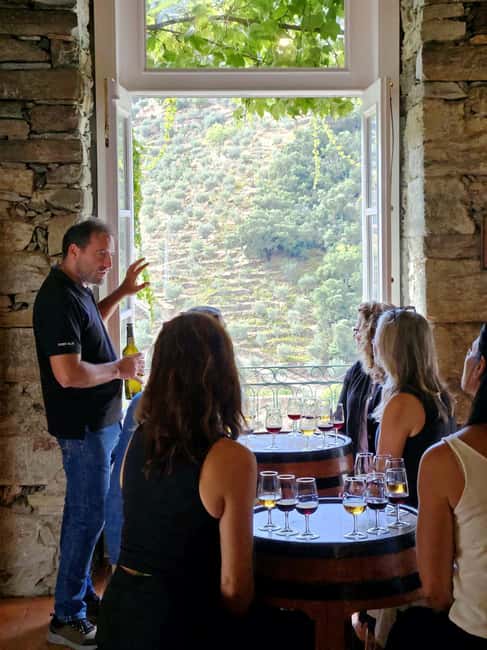 From Porto: Premium Douro Valley 4 Vineyards Tour with Lunch - Winery Stop #2: Olive Oil, Port Wines, and the Old-Vine Angle