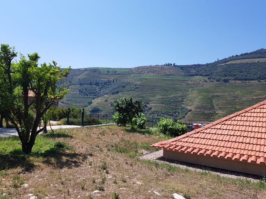 From Porto: Premium Douro Valley 4 Vineyards Tour with Lunch - The Final Winery Stop: Scenery with One More Round of Regional Tastes