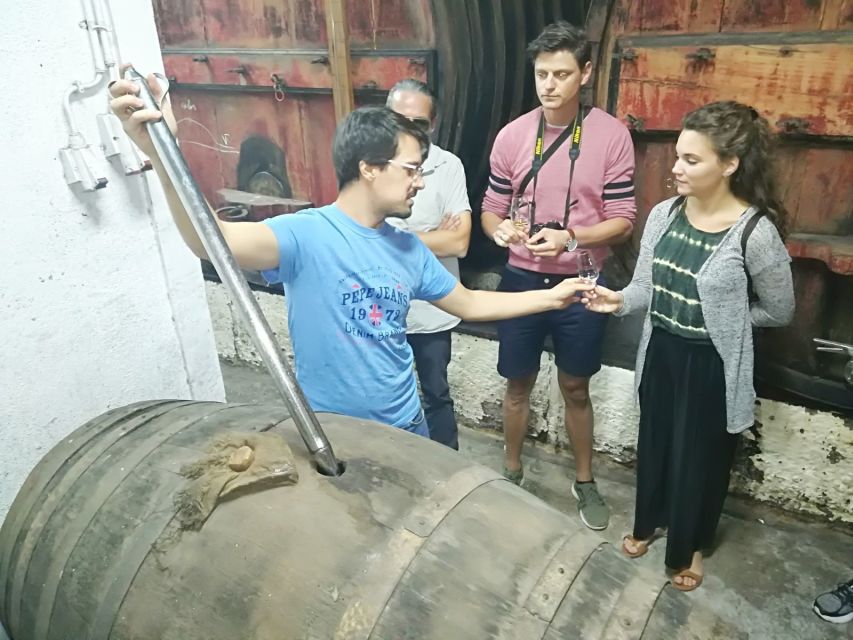 From Porto: Premium Douro Valley 4 Vineyards Tour with Lunch - Small Group Comfort, Expert Guide, and Why That Matters