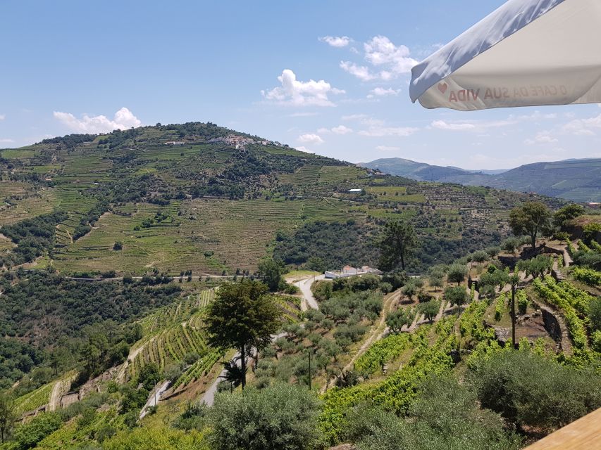 From Porto: Premium Douro Valley 4 Vineyards Tour with Lunch - What’s Included, What It Covers, and How to Think About the Price