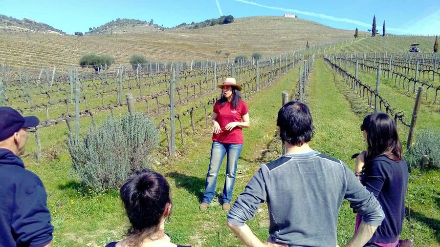 From Porto: Premium Douro Valley 4 Vineyards Tour with Lunch - The Morning Drive and First Winery Stop: Terraces, Timing, and Your First Tasting