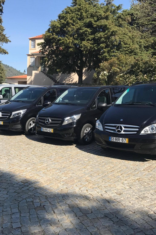 From Porto: Premium Douro Valley Small-Group Wine Tour - Key Things To Know Before You Go
