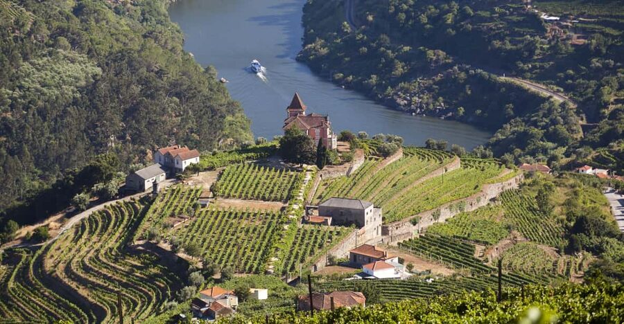 From Porto: Premium Douro Valley Small-Group Wine Tour - Why This Douro Day Feels Premium Instead of Just Another Tour