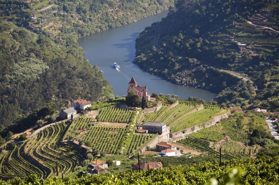 From Porto: Premium Douro Valley Small-Group Wine Tour - Winery Stop Two: A Different Producer Perspective and More Tasting