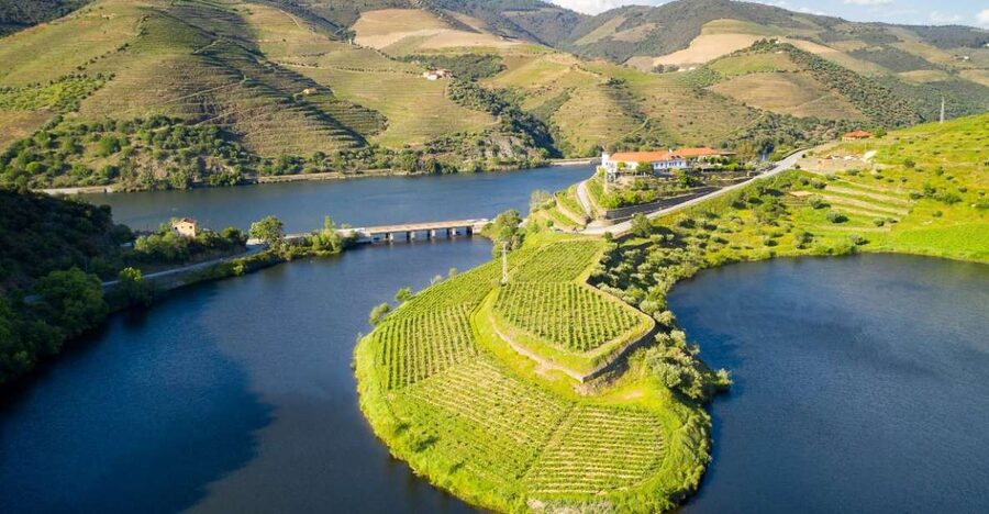 From Porto: Private Douro Valley Tour with Booking Service - Casa de Casal de Loivos: the quick stop that sets the tone