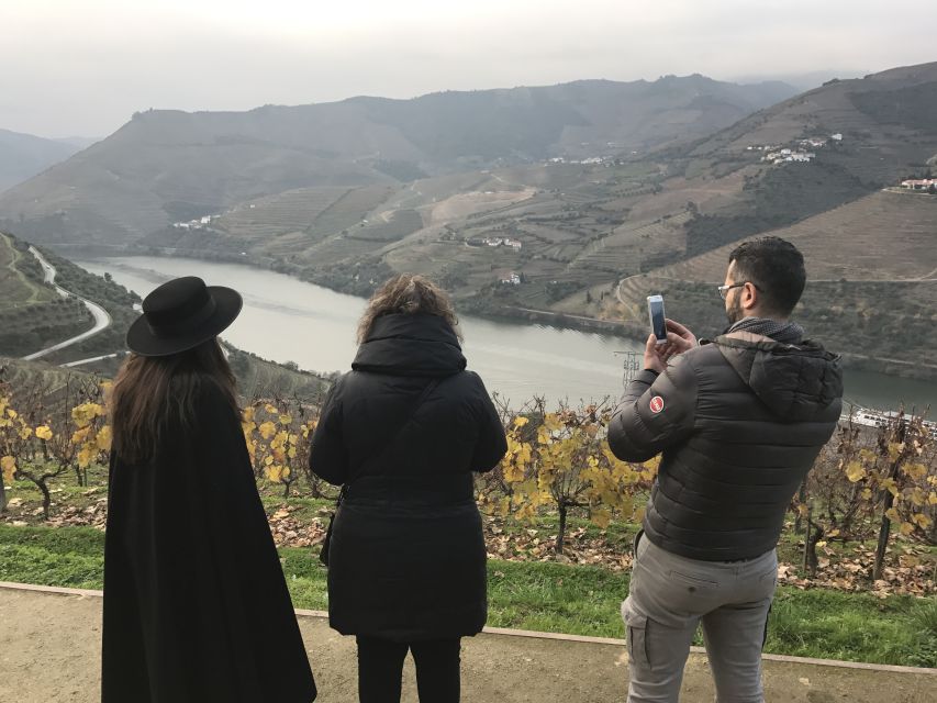 From Porto: Private Douro Valley Tour with Cruise and Wine - Second Winery and Port Focus: Where the Douro Story Gets Real